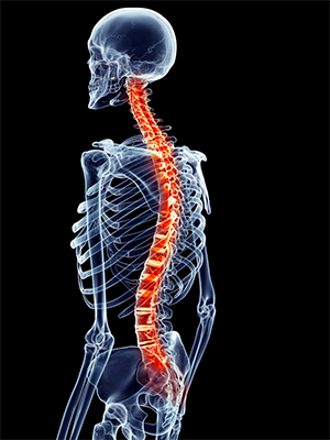 What are Red Flags in a Spine Surgeon?