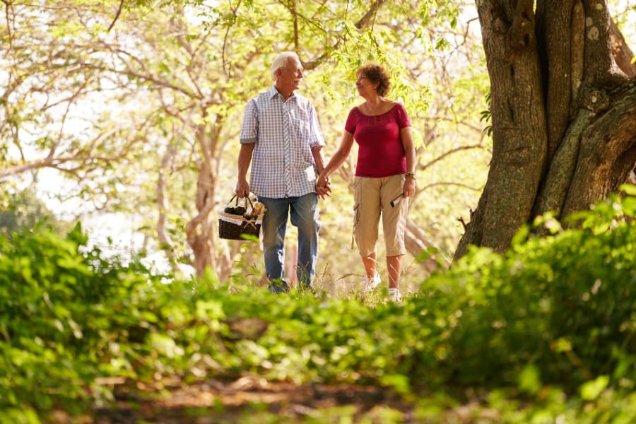 image of an elderly couple walking through nature together